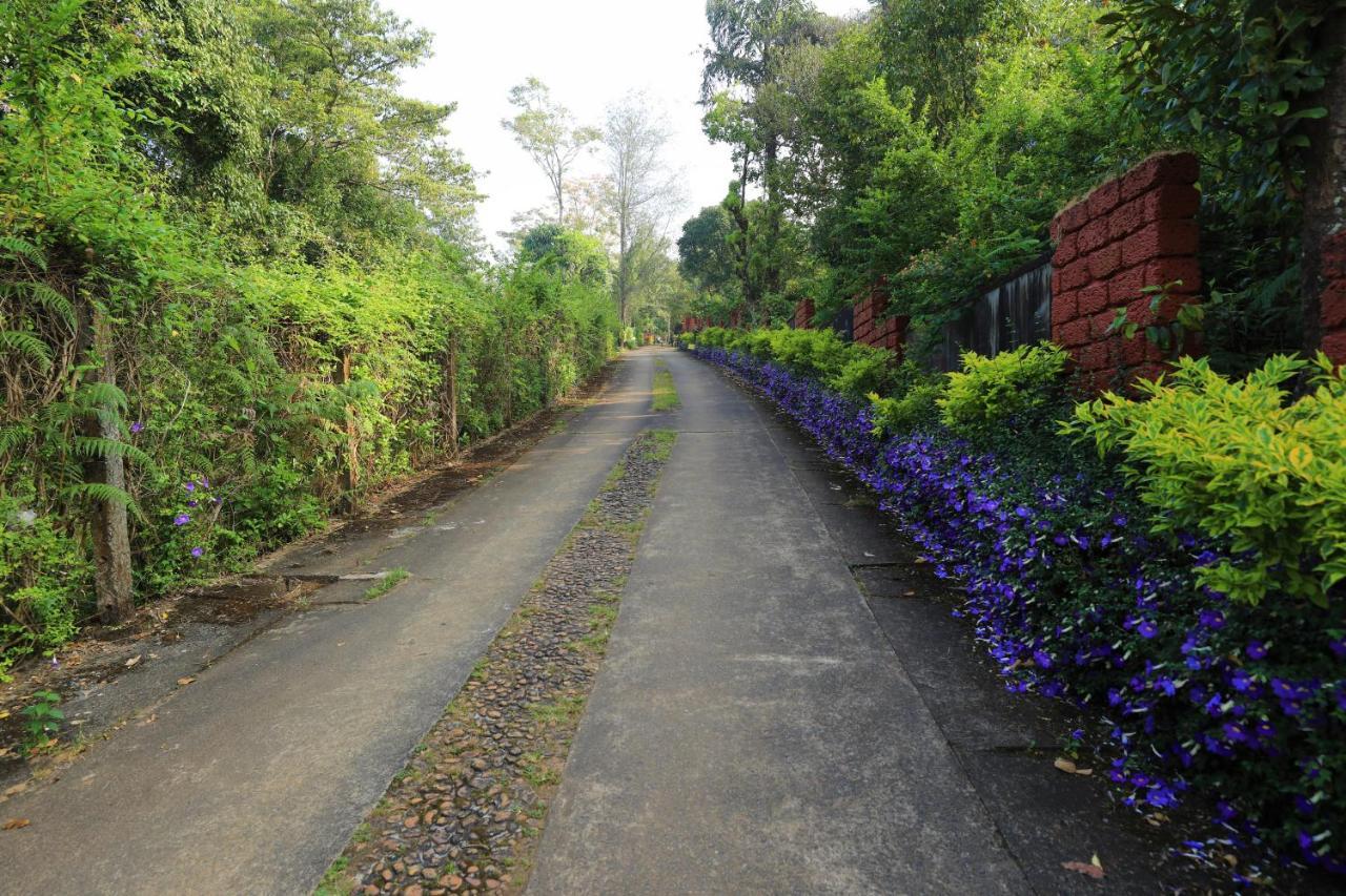 Heritage Resort Coorg Madikeri Extérieur photo